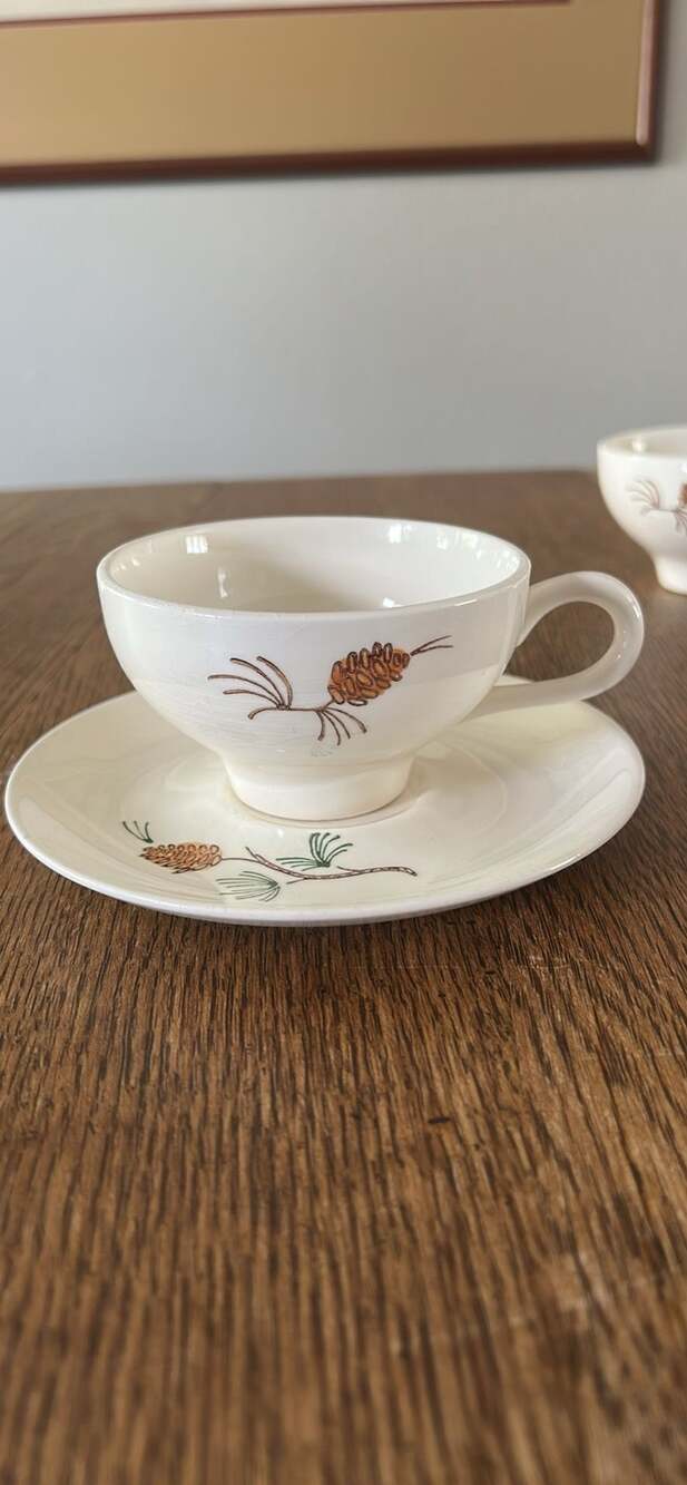 Vintage Stetson Misty Pine Tea Cup and Saucer Set